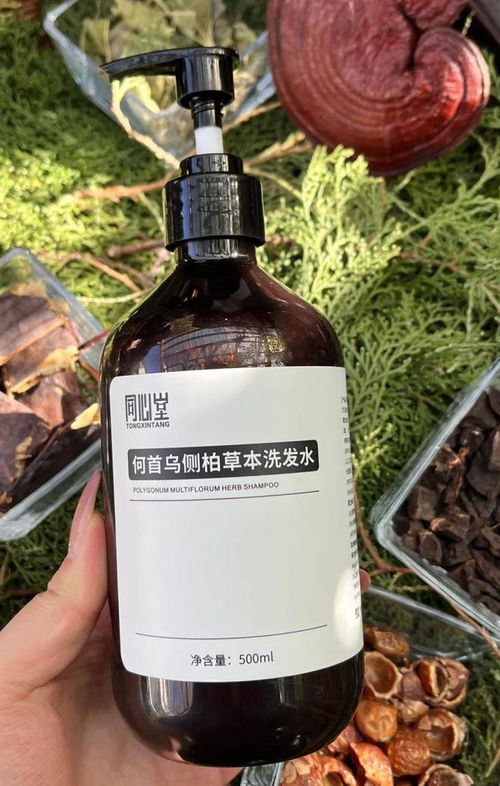 告別脫發(fā)困擾！2024平價(jià)防脫育發(fā)產(chǎn)品盤(pán)點(diǎn)，這四款值得一試